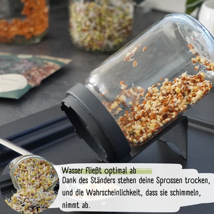 Sprossendeckel rot