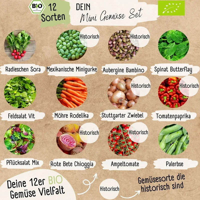 Dein 12 Bio Balkon & Hochbeet Gemüsesamen Set