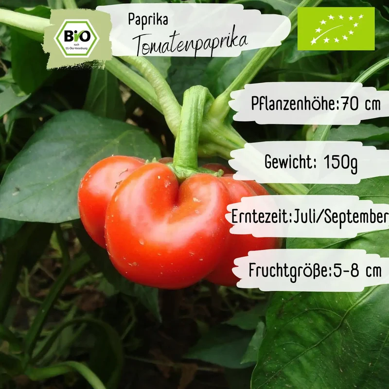 Bio Tomatenpaprika Samen
