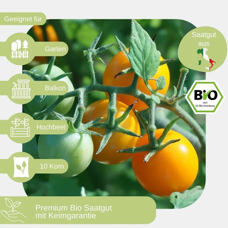 Bio Stabtomate Gelbe von Thun Samen