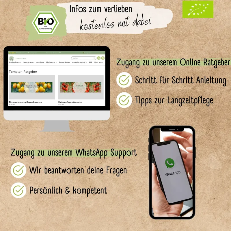 Dein 12 Bio Tomatensamen Set