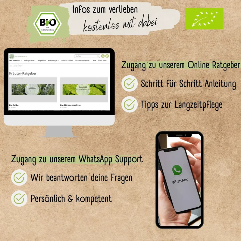 Bio Schnittlauch Samen