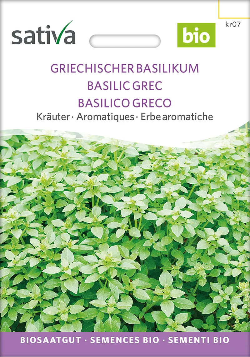 BIO Saatgut Griechischer Basilikum