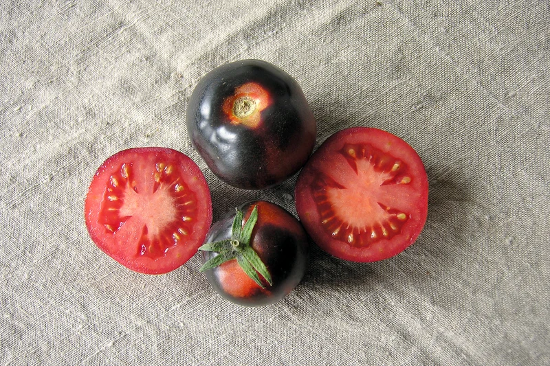 BIO Saatgut Salattomate Indigo Rose, schwarz