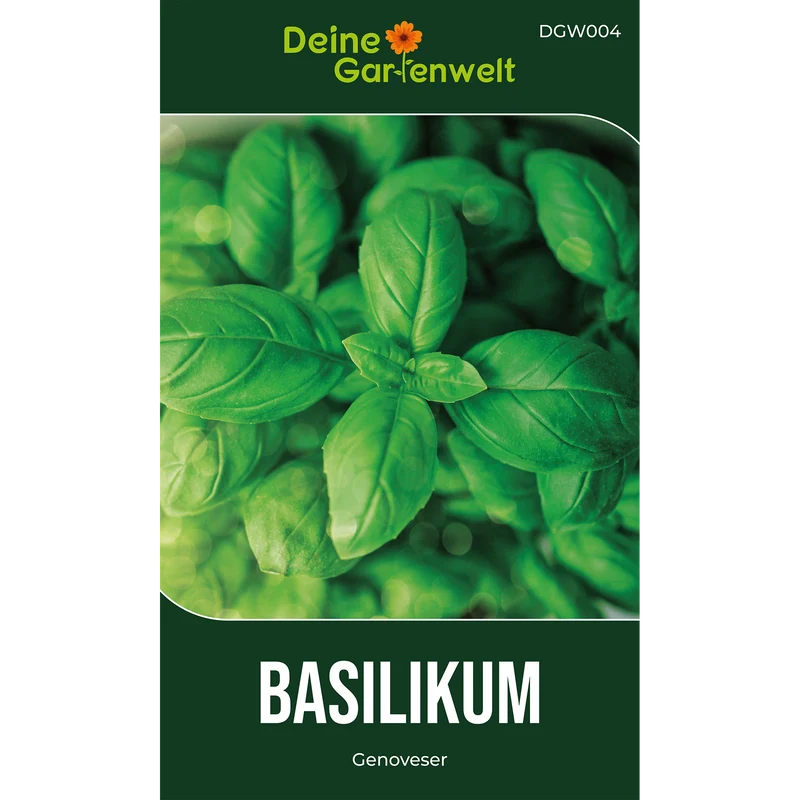 Basilikum Genoveser Saatgut
