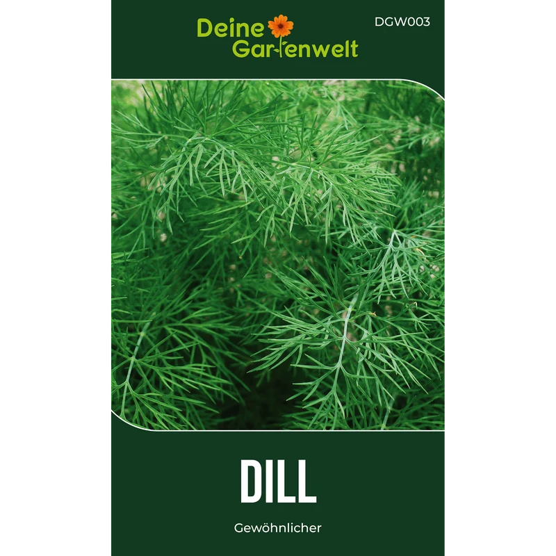 Dill Gewöhnlicher Saatgut