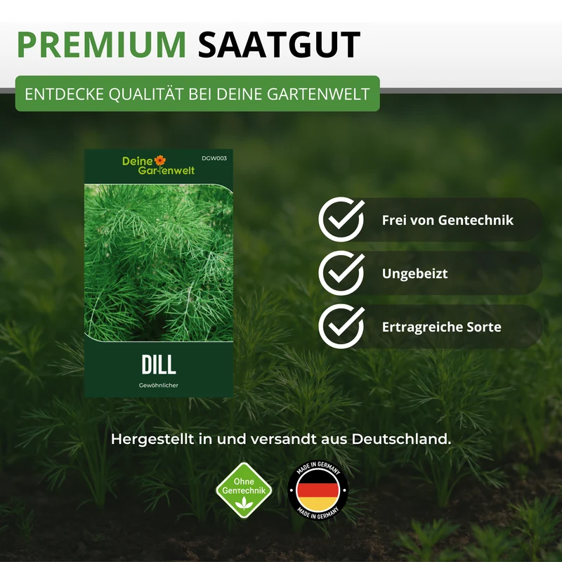 Dill Gewöhnlicher Saatgut