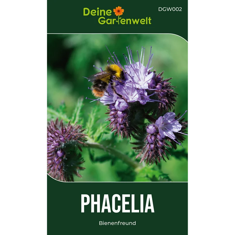 Phacelia Bienenfreund Saatgut