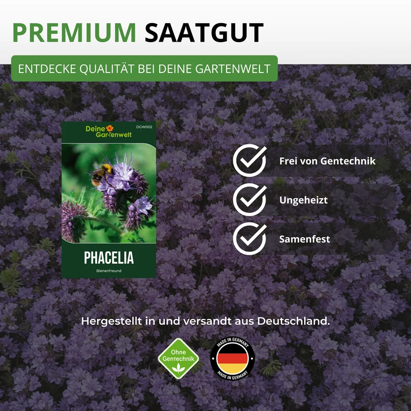 Phacelia Bienenfreund Saatgut