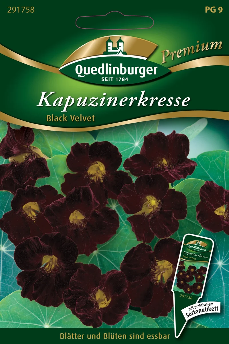 Kapuzinerkresse Black Velvet Saatgut