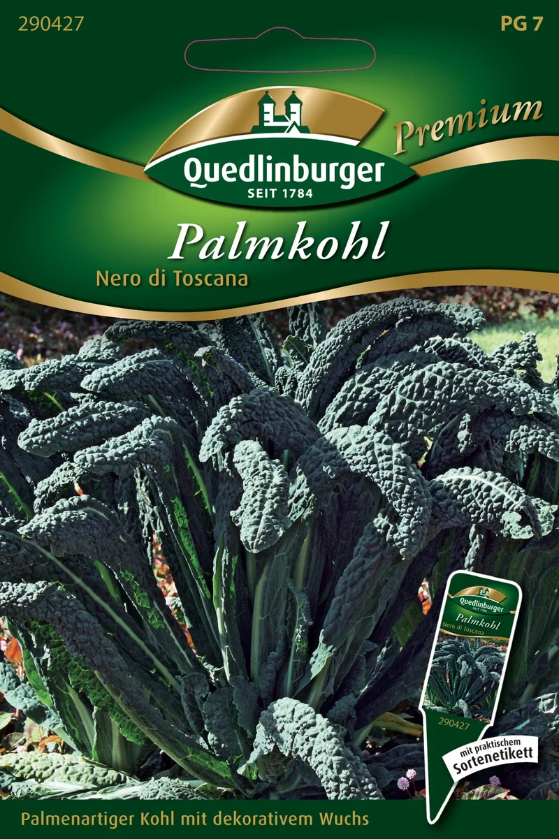 Palmkohl Nero di Toscana Saatgut