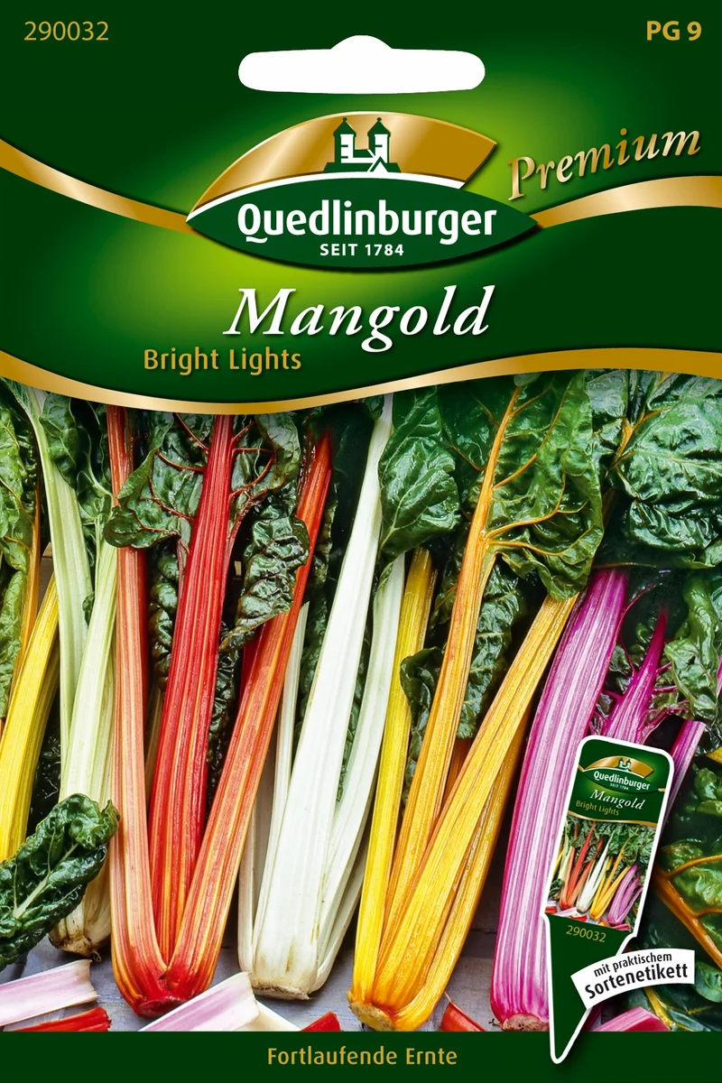Mangold Bright Lights Saatgut