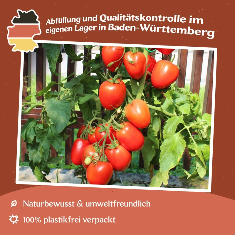 Terion Tomatensamen