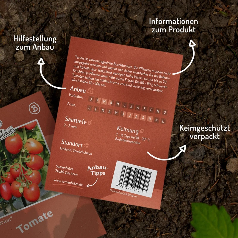 Terion Tomatensamen
