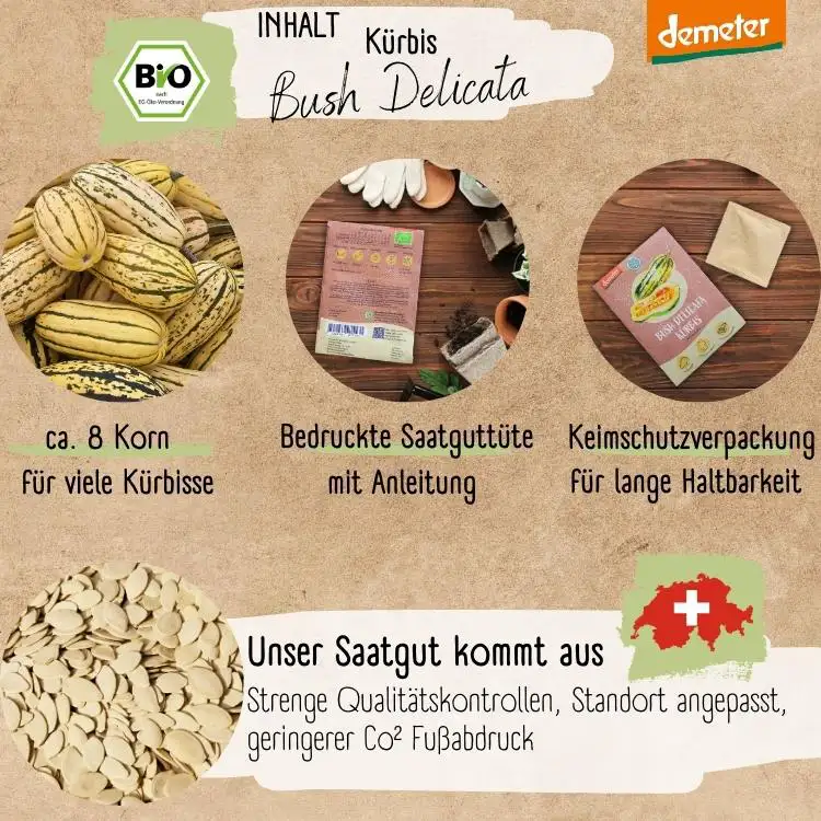 Demeter Kürbis Bush Delicata Samen