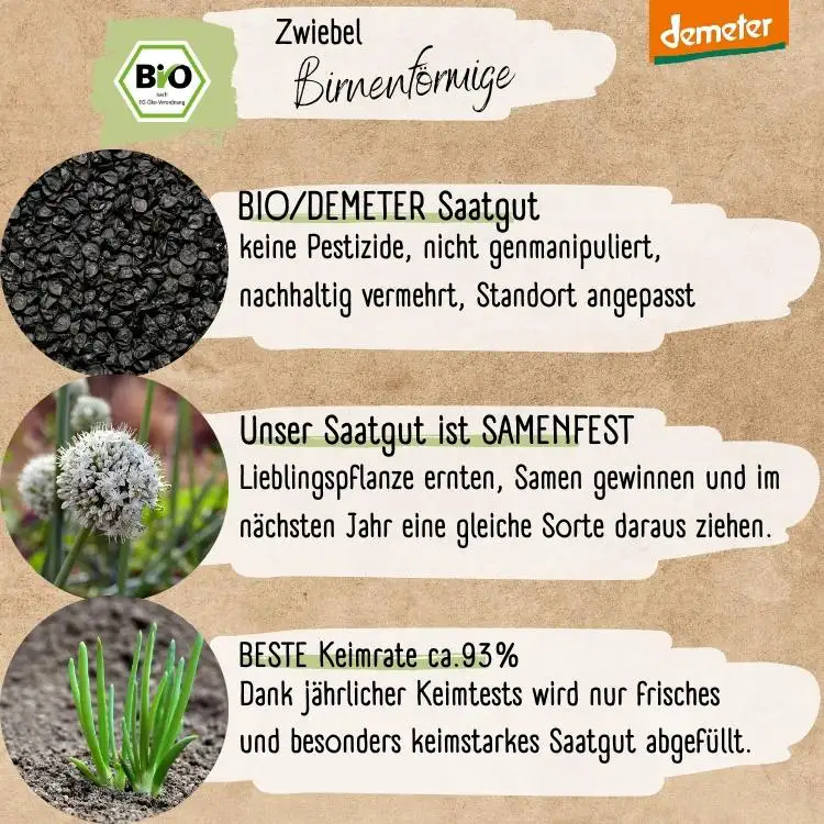 Demeter Zwiebel Birnenförmige Samen