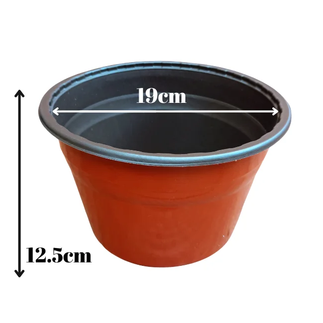 Plant Pots - 190mm Diameter (19cm)