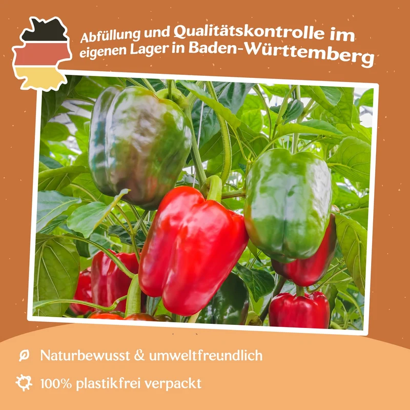 Paprika Yolo Wonder Samen