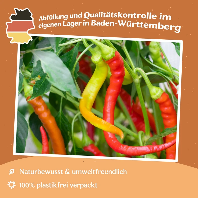 Paprika Ohnivec Samen
