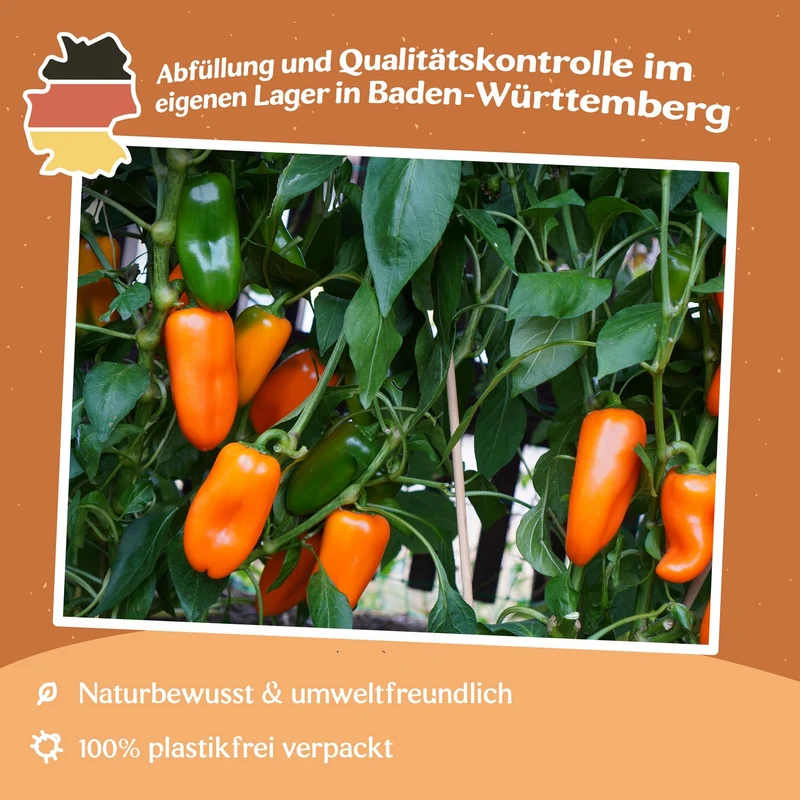 Snackpaprika Hamik Samen