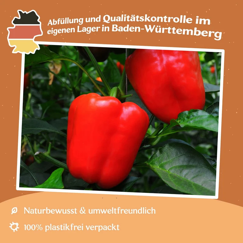 Paprika Neusiedler Ideal Samen