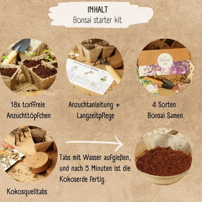 Bonsai Anzuchtset