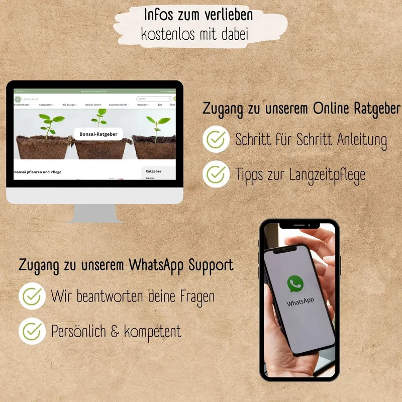 Bonsai Anzuchtset
