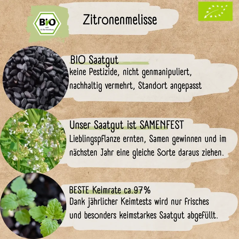 Bio Zitronenmelisse Samen