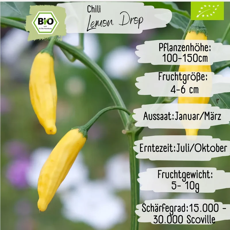 Bio Chili Lemon Drop Samen