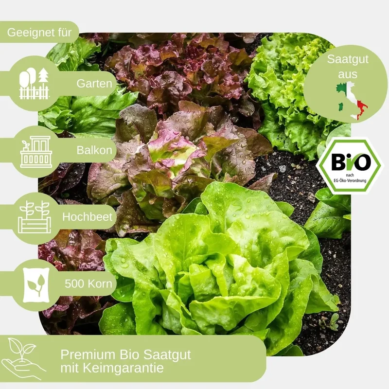 Bio Pflücksalat Samen Mix