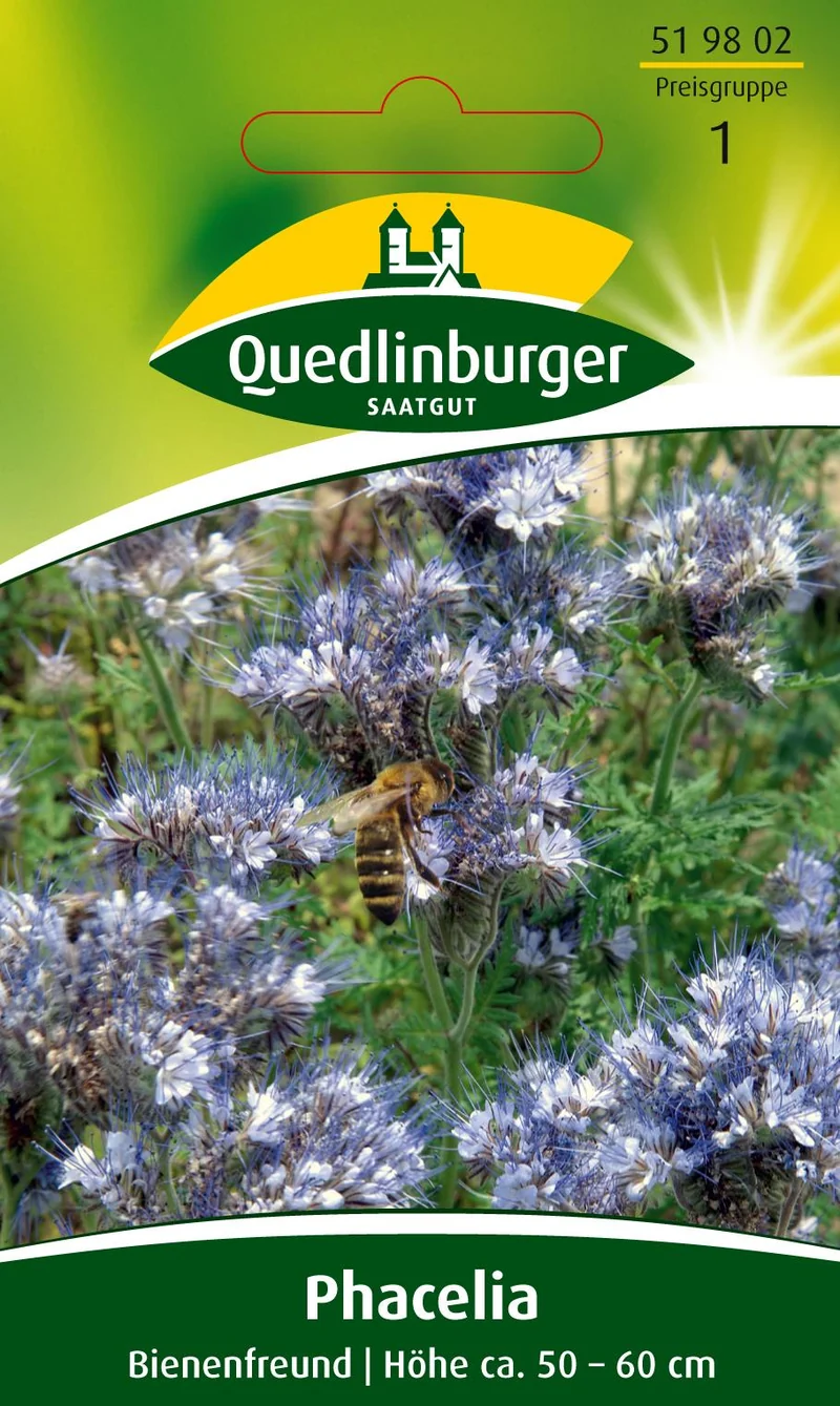Phacelia Bienenfreund Saatgut