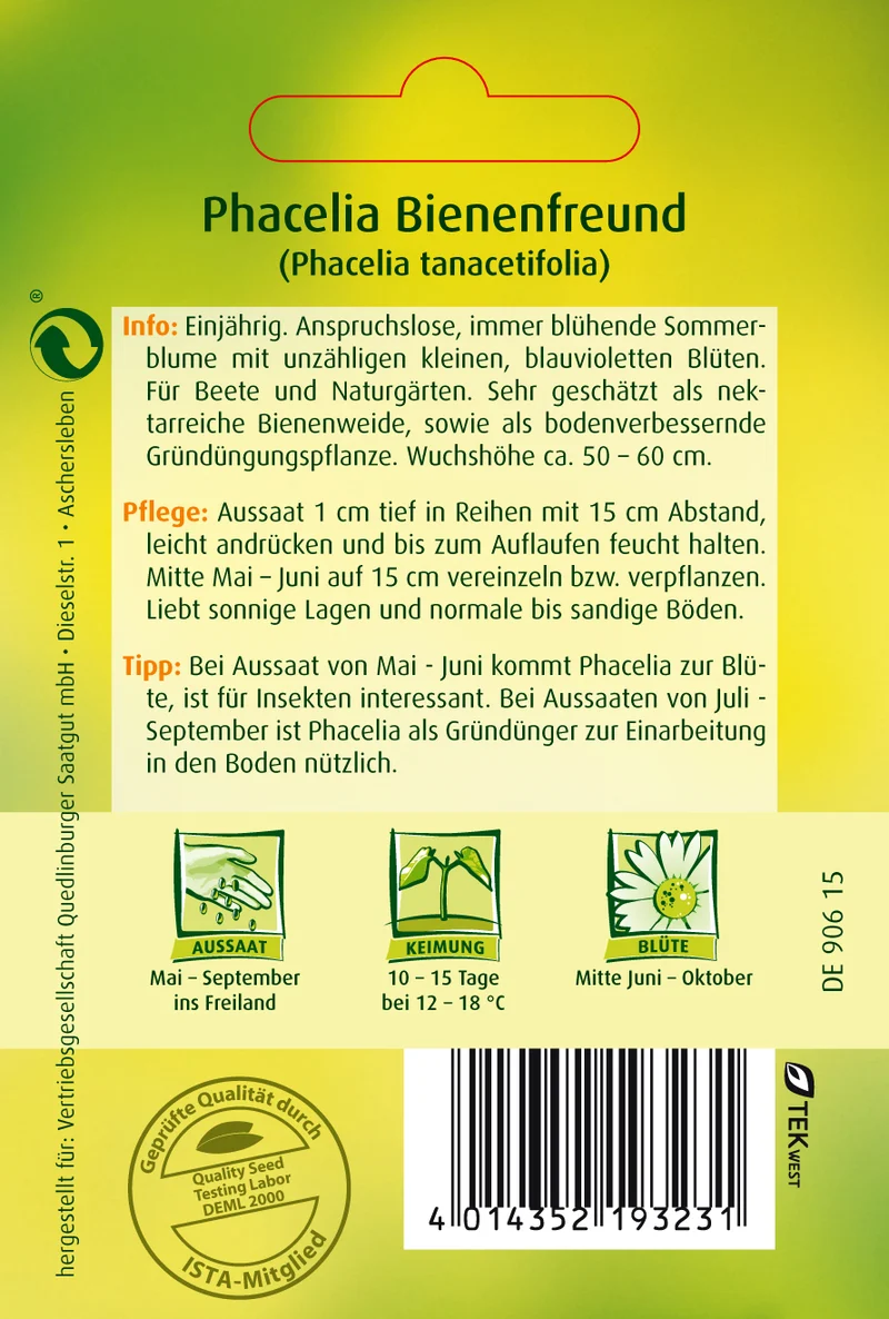 Phacelia Bienenfreund Saatgut