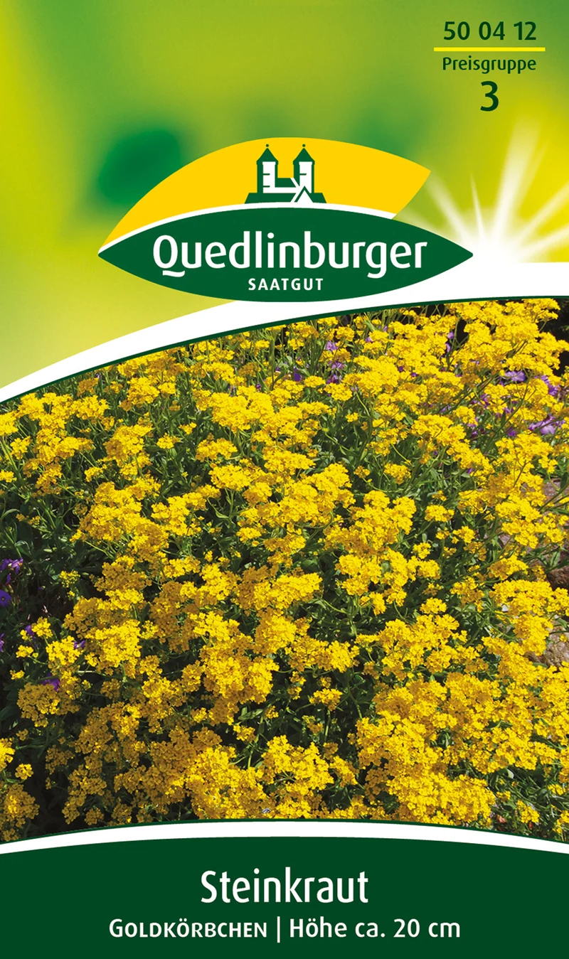 Steinkraut Goldkörbchen Saatgut
