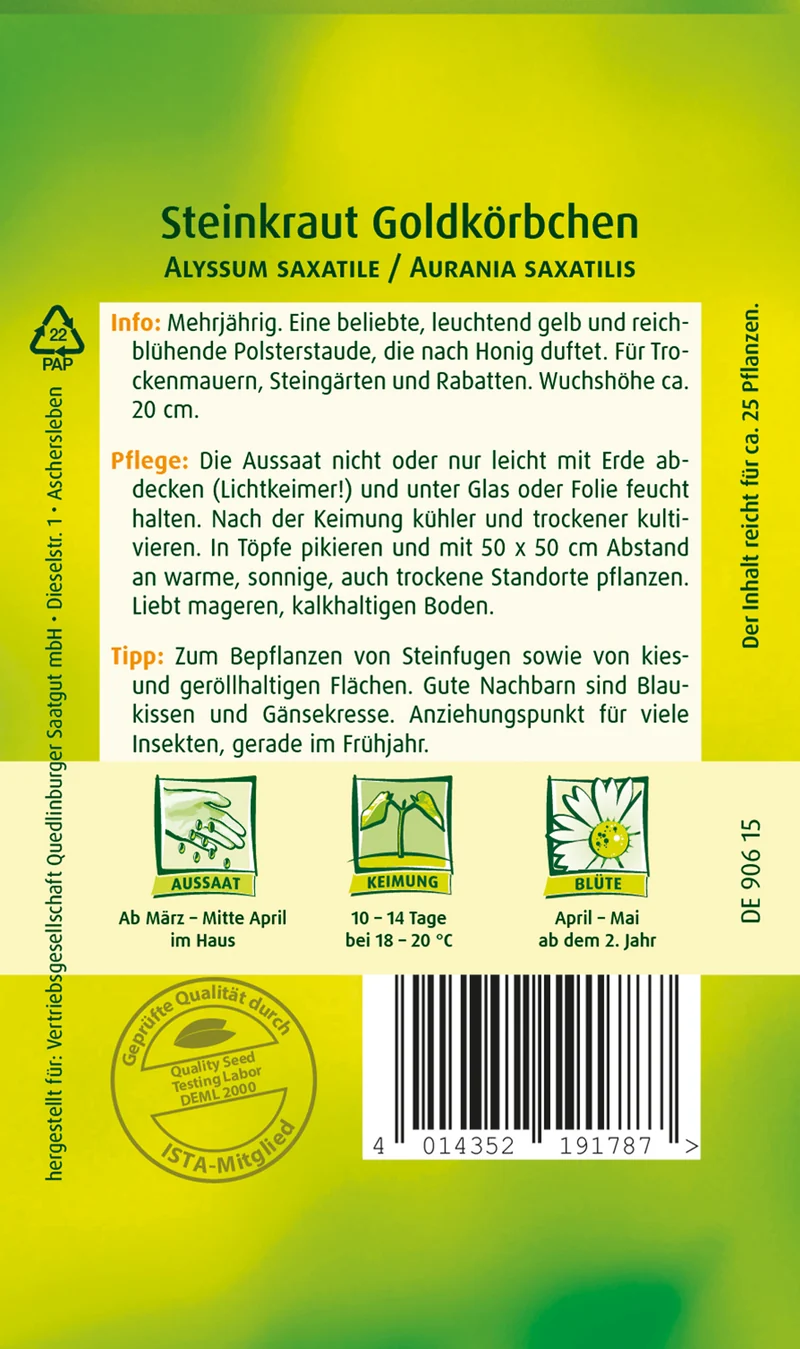 Steinkraut Goldkörbchen Saatgut