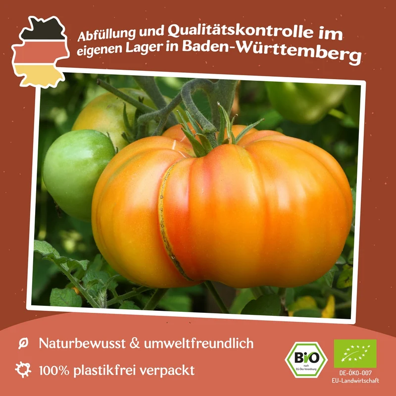 Big Rainbow Bio-Tomatensamen