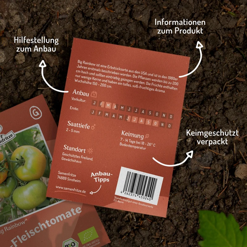 Big Rainbow Bio-Tomatensamen