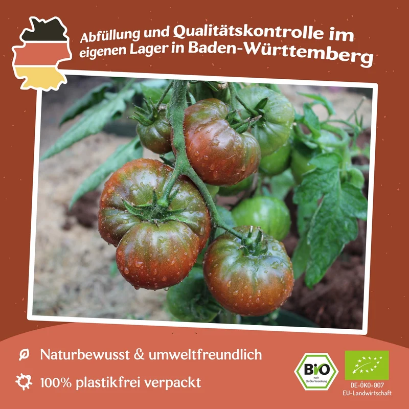 Black Sea Man Bio-Tomatensamen