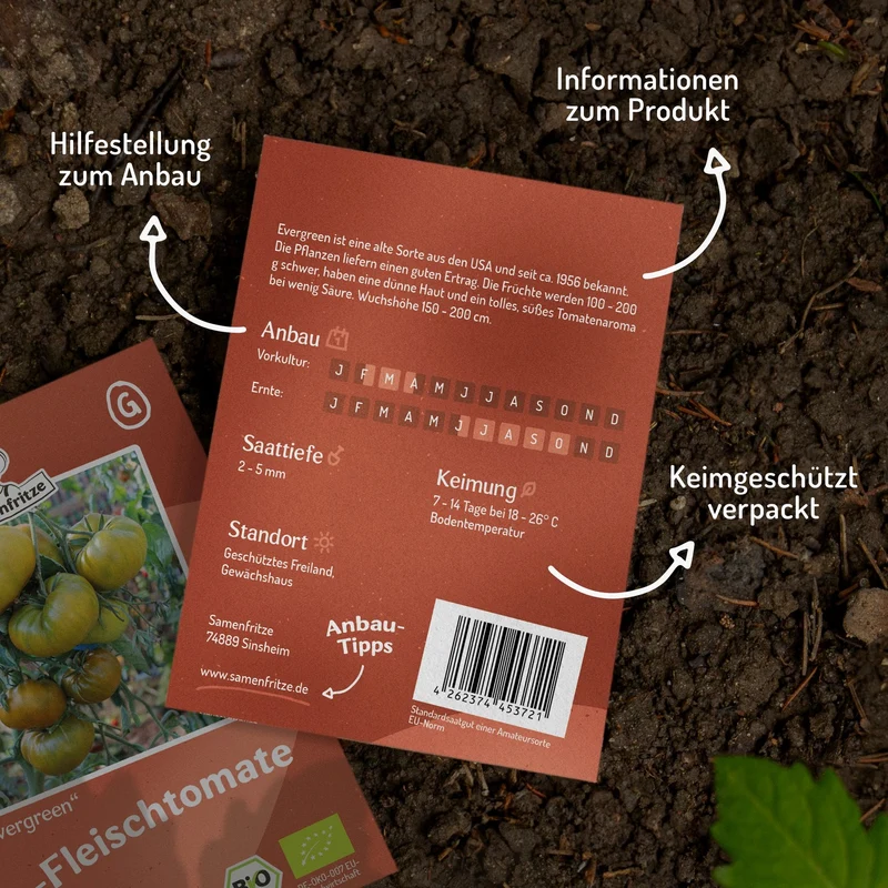 Evergreen Bio-Tomatensamen
