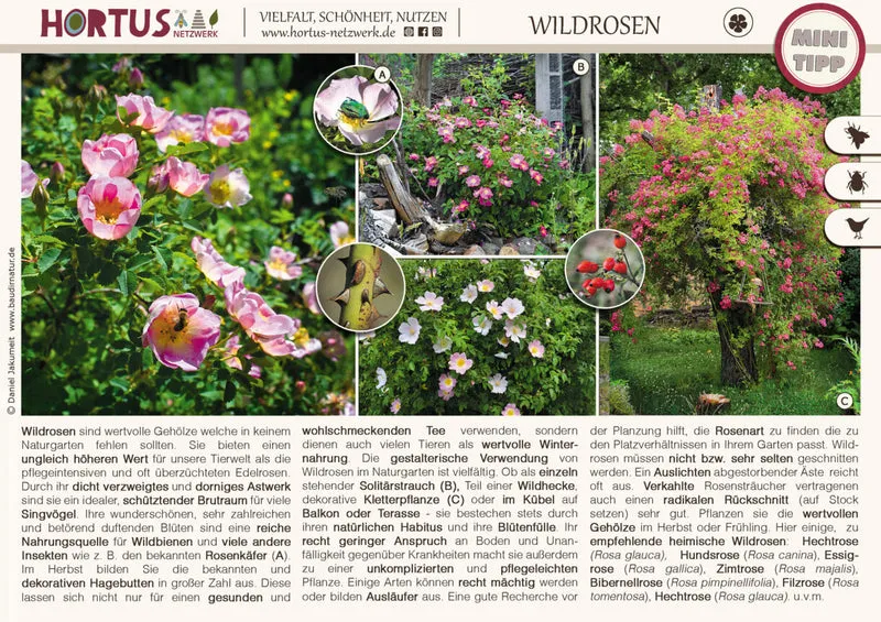Lebensraum Garten – Minitipps-Broschüre: Teil 2