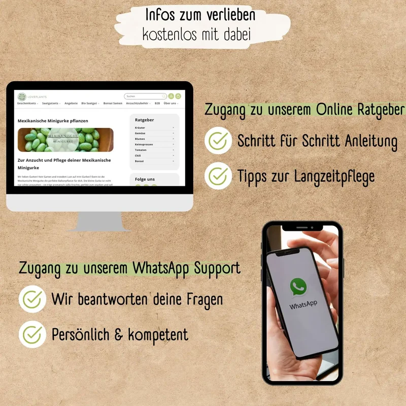 Bio Mexikanische Minigurke Samen