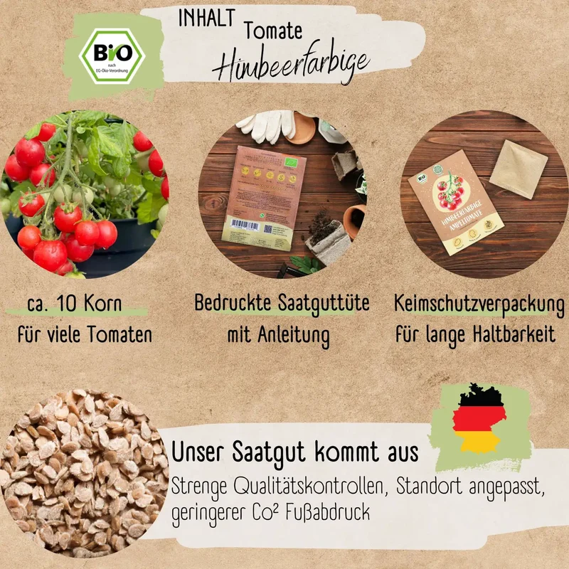 Bio Ampeltomate Himbeerfarbige Samen