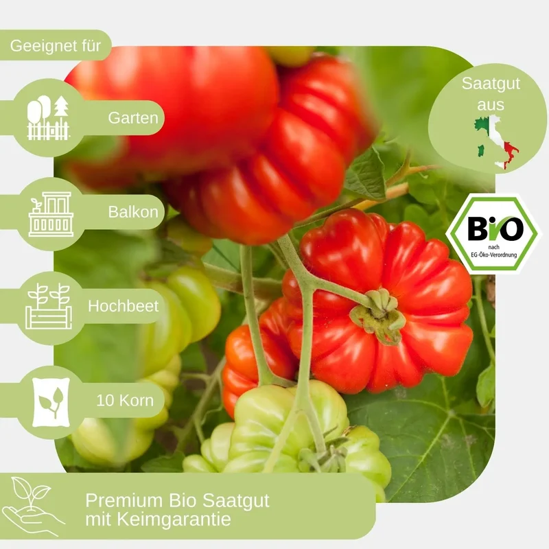 Bio Fleischtomate Gezahnte Bührer Keel Samen