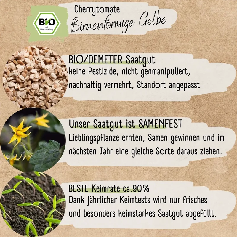 Bio Cherrytomate Birnenförmige Gelbe Samen