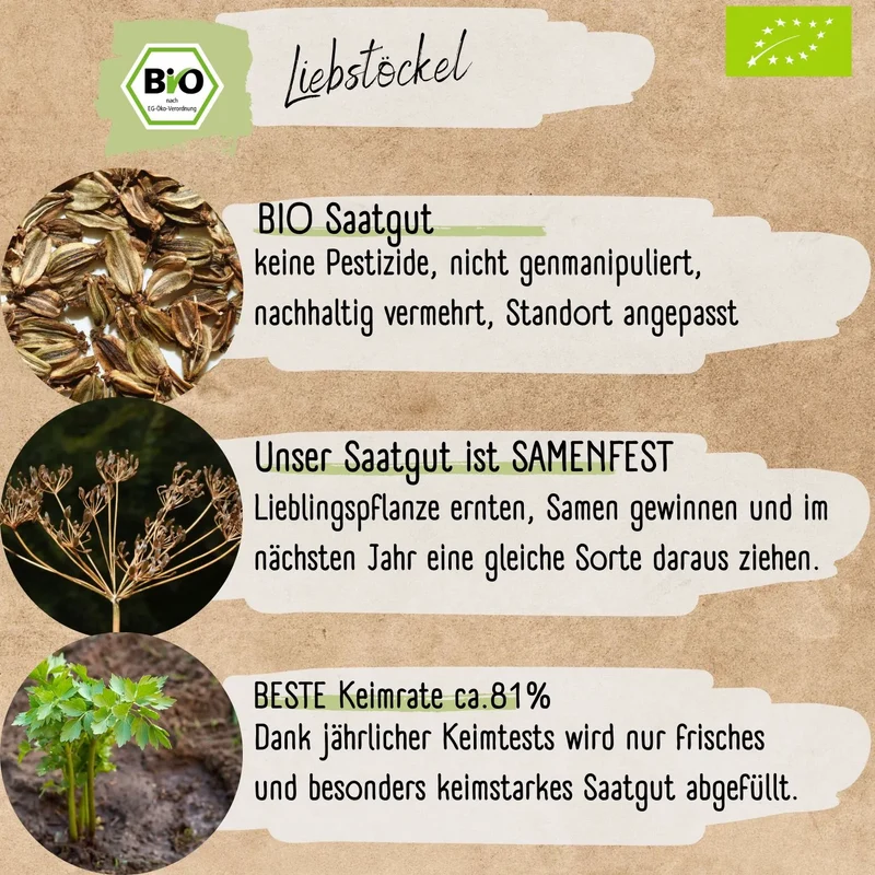 Bio Liebstöckel Samen