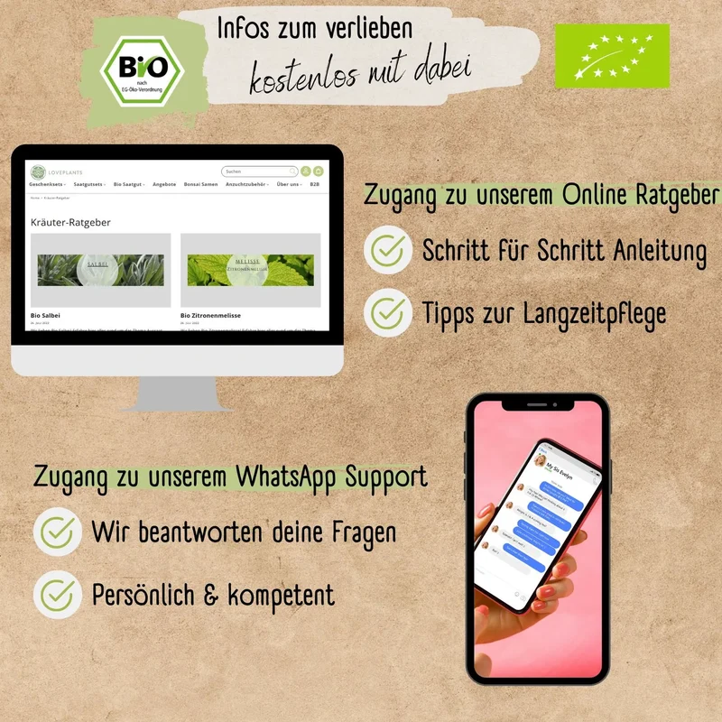 Bio Liebstöckel Samen