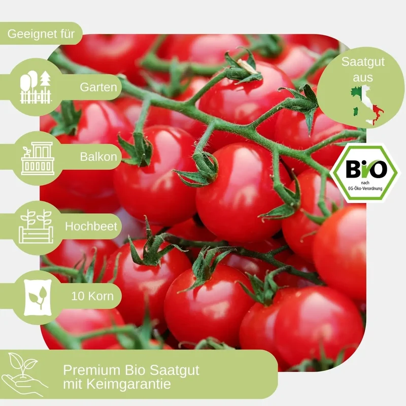 Bio Cocktailtomate Zuckertraube Samen