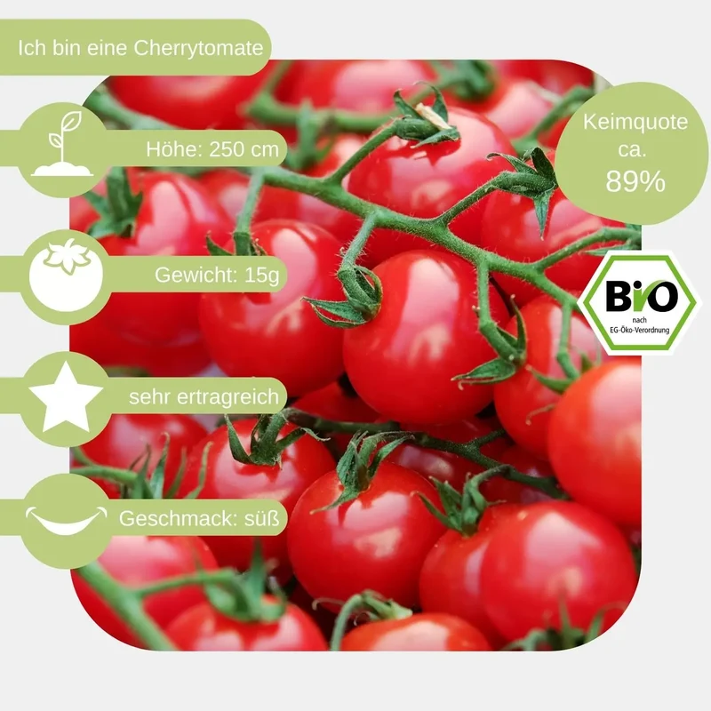 Bio Cocktailtomate Zuckertraube Samen