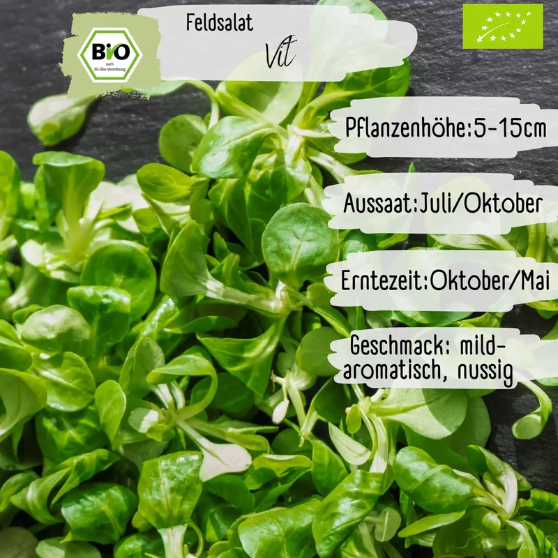 Bio Feldsalat Samen