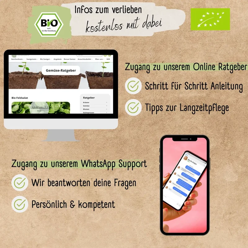 Bio Feldsalat Samen