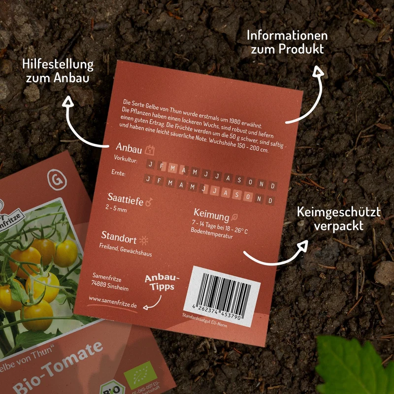 Gelbe von Thun Bio-Tomatensamen